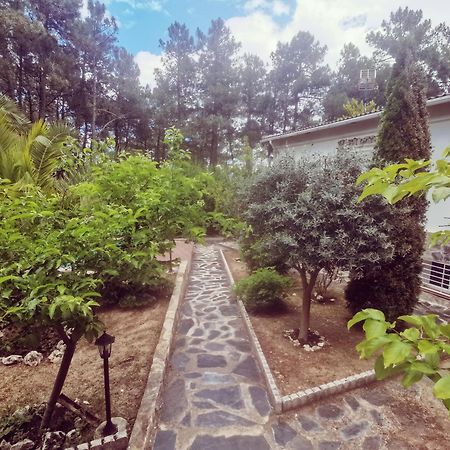 Villa Bonita Casa En El Bosque - El Tiemblo Extérieur photo